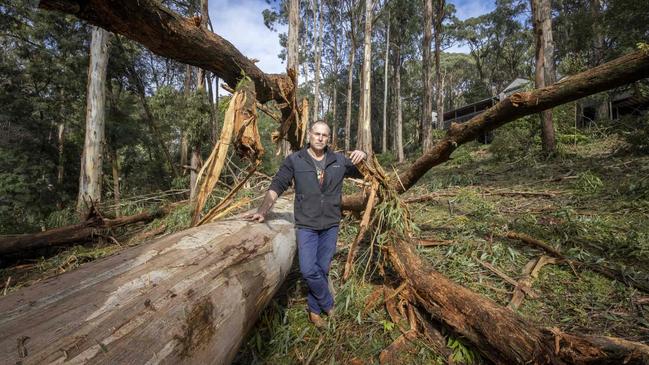 Leigh Doddy at the front of his Dandenong Ranges home where falling gum trees narrowly missed his house. Picture: NCA NewsWire/Wayne Taylor