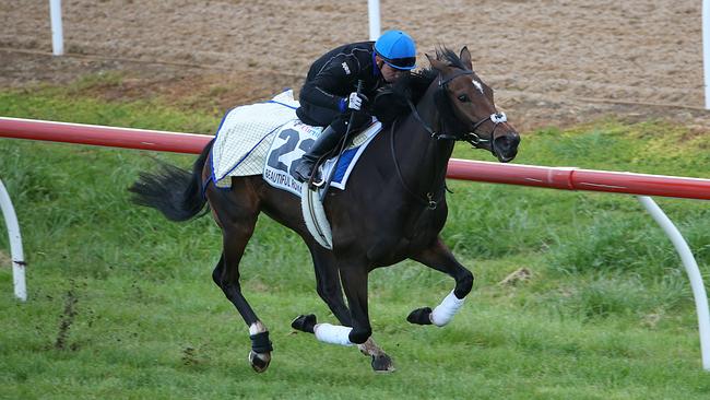 Beautiful Romance stretches out this at Werribee racecourse. Picture: Ian Currie