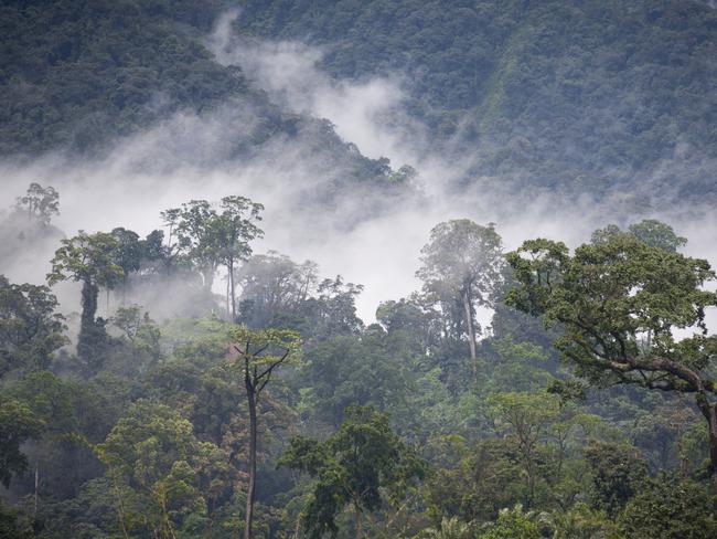 Cameroon has an extremely diverse landscape, with dense rainforest in the south and east, while the north is characterised by a semi-arid region dotted with rocky escarpments.