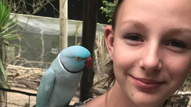 Shock twist in fallout of horror head-on that killed Gympie teen