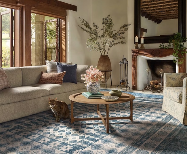 Ruggable, the direct-to-consumer business, has ambitious plans to continue to grow the washable rug market in Australia