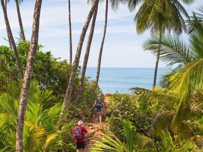 A beachside forest in Manzanillo, Mexico. Picture: Supplied