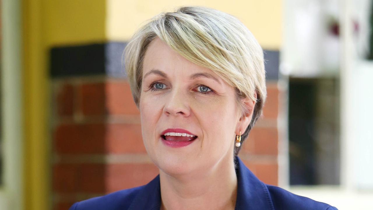 Plibersek Slams Triggs Backing For Green The Australian 1961