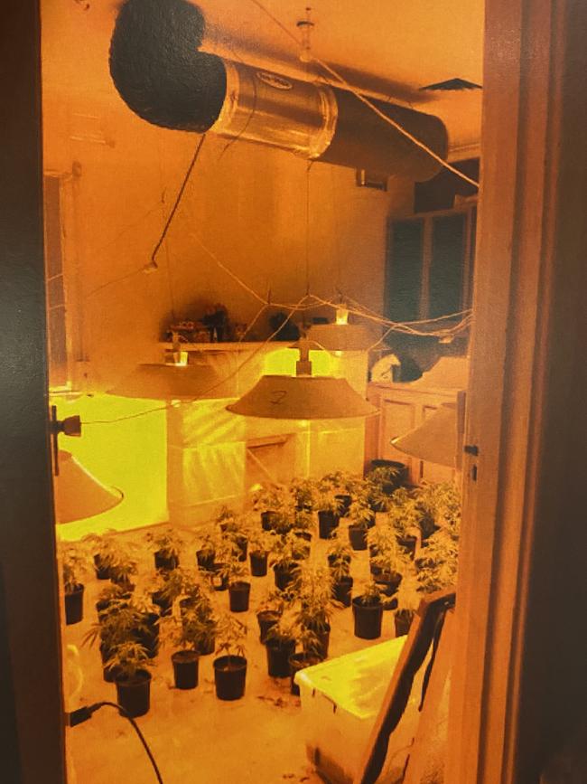 Cannabis and evidence found at a grow house in Hectorville. Picture: Courts.