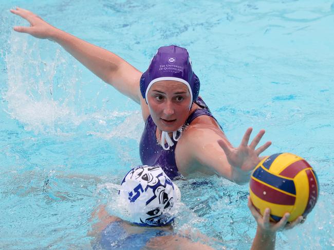 North Brisbane Polo Bears vs UQ Barracudas, Water Polo Queensland's Defina Premier League Grand Final, Fortitude Valley. Picture: Liam Kidston