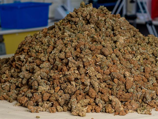 A large quantity of cannabis smuggled into the NT by a syndicate allegedly headed up by Peter Wellman James and subsequently seized by police. Photograph: Che Chorley