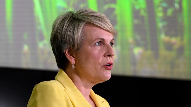 Federal Environment Minister Tanya Plibersek. Picture: Dan Peled