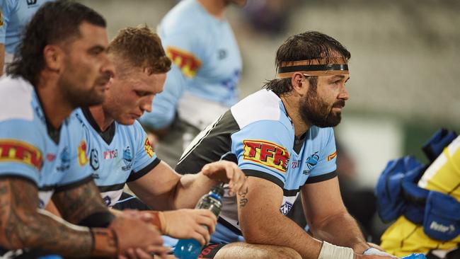 The Sharks fought hard but came up short. Photo by Brett Hemmings/Getty Images.