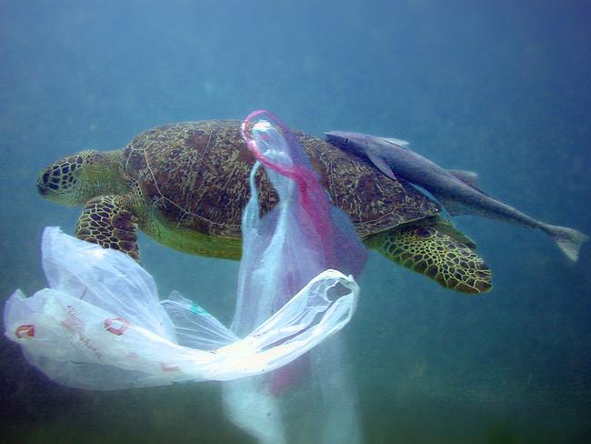 Take 3 campaigner Tim Silverwood says ending plastic pollution in ...