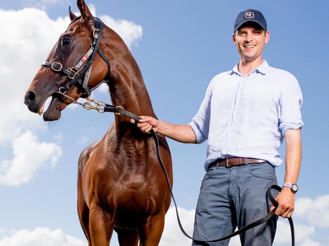 From banker to top horse trainer