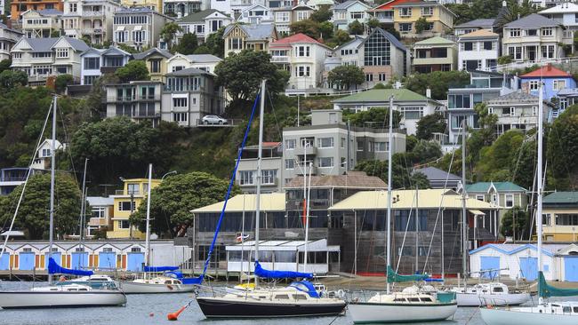 Marina, yachts and hillside suburban houses are standard views at Oriental Bay.