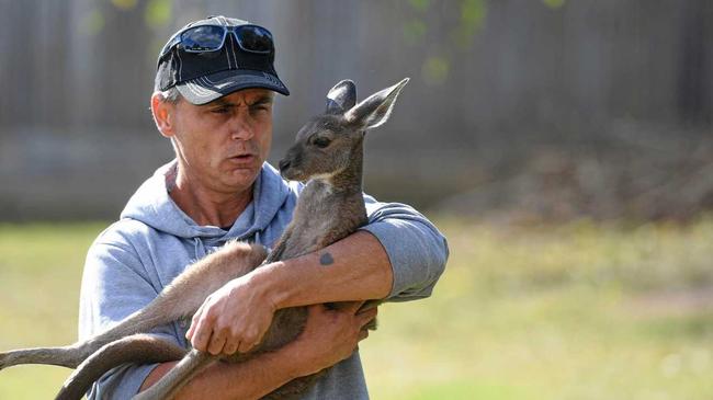 Wildlife carer Danny Williams and his kangaroo Esperance, who he rescued in Western Australia. Picture: Rob Williams