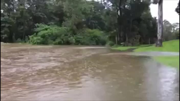 Creek levels rise across the Gold Coast 