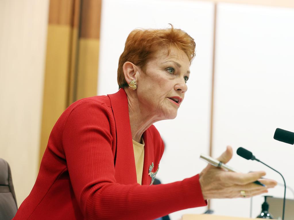 Senator Pauline Hanson was censored during a radio interview on Wednesday. Picture: NCA NewsWire / Gary Ramage