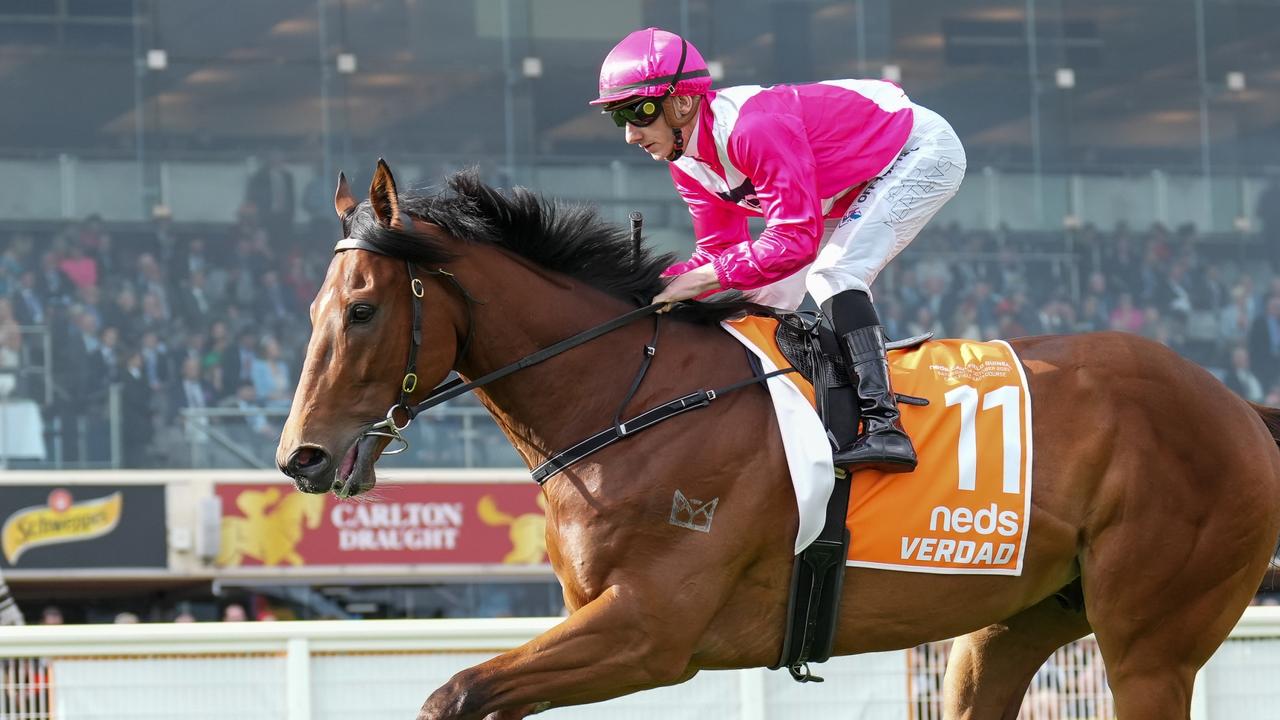Resurgent Verdad to cash in on Victorian dry spell
