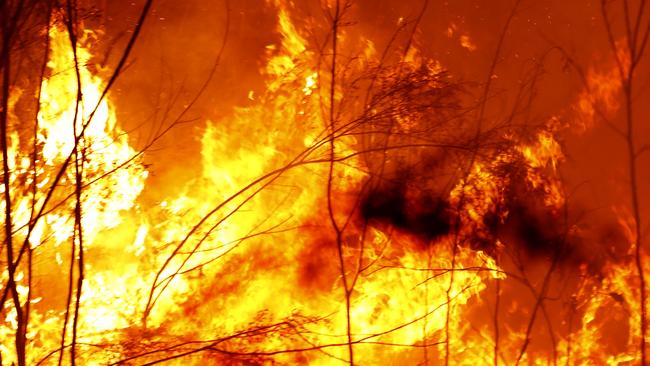 Bushfires burn between the townships of Bemm River and Cann River. Picture: Darrian Traynor/Getty Images