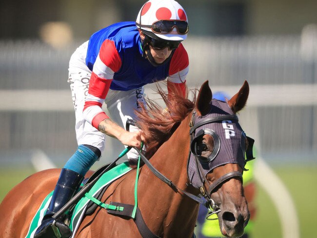 SYDNEY, AUSTRALIA - JANUARY 16: Robbie Dolan on Above And Beyond returns to scale after winning race 6 the TAB Handicap during Sydney Racing at Rosehill Gardens on January 16, 2021 in Sydney, Australia. (Photo by Mark Evans/Getty Images)