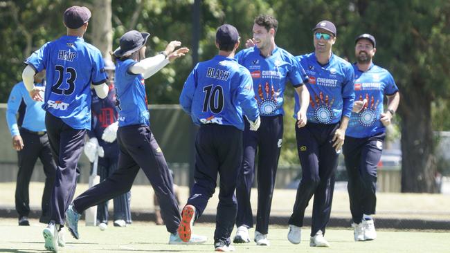 Premier Cricket: Nick Boland and his Prahran teammates celebrate a wicket. Picture: Valeriu Campan