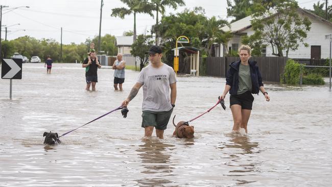 People walk their dogs in the flood waters. Picture: Glenn Hunt