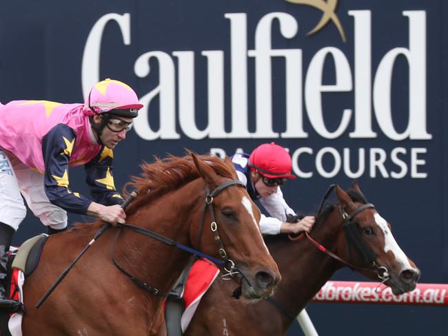 Our celebrity tipsters have their say on Caulfield’s biggest stage. Picture: David Crosling