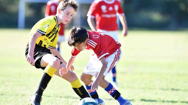 SOCCER: Junior football carnival, Maroochydore. Gold Coast Knights (red) V Moreton Bay United, boys. Picture: Patrick Woods.