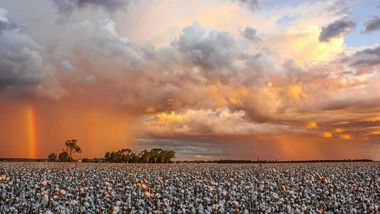 CLIMATE GUIDES: Condamine will be the among the first regions to nab the weather and climate outlook guides in development. Photo Peter Carruthers / Balonne Beacon. Picture: Peter Carruthers