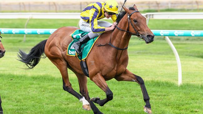 Spud and jockey Clayton Douglas will attempt to keep their unbeaten record intact at Sandown on Wednesday. Picture: Getty Images