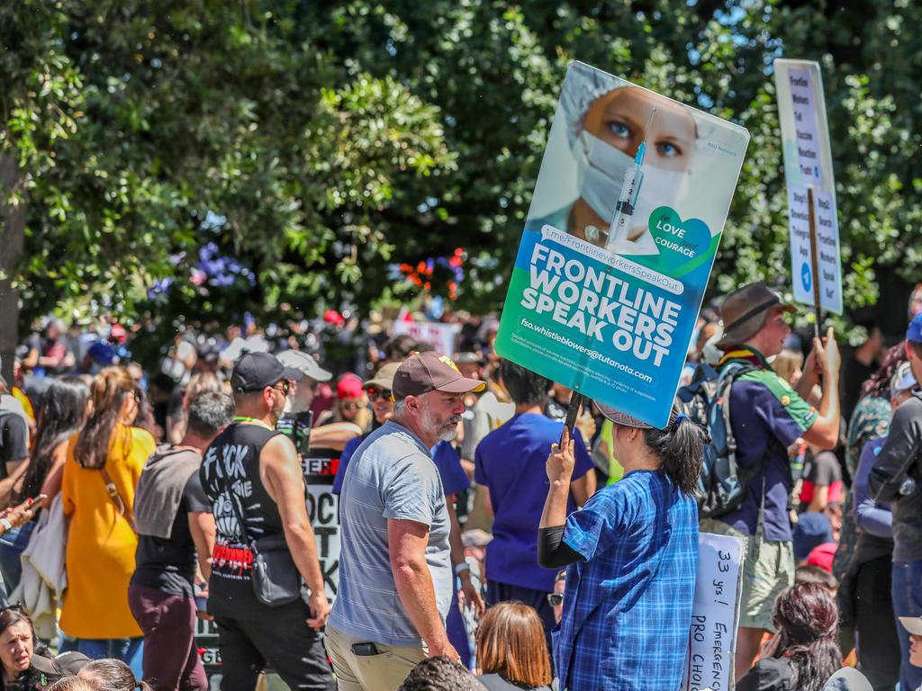 The Melbourne protesters gathered at the Treasury Gardens. Picture: Tim Carrafa