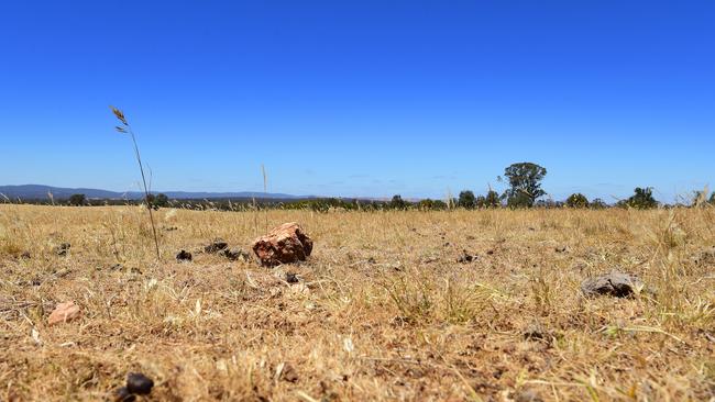 DROUGHT. Weather. Tom & Jenny Small at Tottington, their sheep property near St Arnaud. Dry. Lambs. Wool. WTSocial. Pictured: Landscape. PICTURE: ZOE PHILLIPS