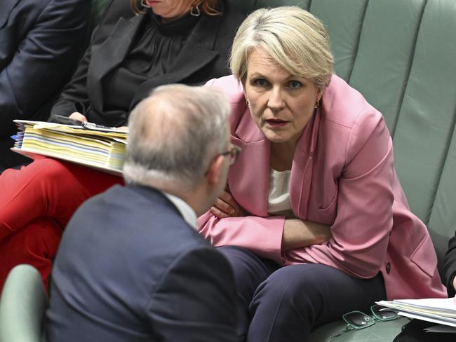 CANBERRA, AUSTRALIA  - NewsWire Photos - November 28, 2024: Minister for the Environment and Water of Australia, Tanya Plibersek during Question Time at Parliament House in Canberra. Picture: NewsWire / Martin Ollman