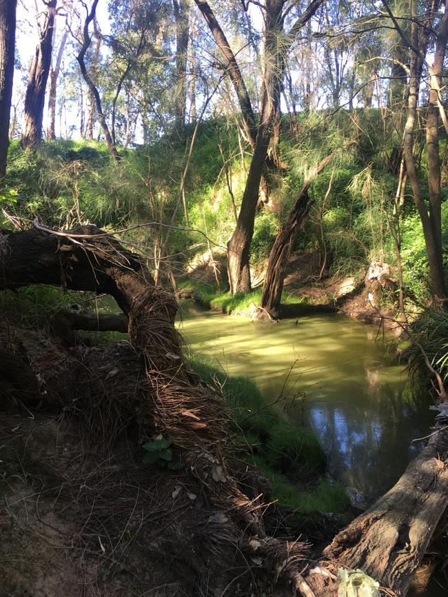 Fairfield City Council #CaptureFairfield competition: Discovery: Vesna Arbanas – Amateur Photographer