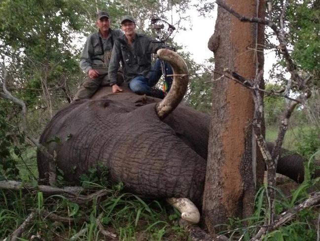 Serial hunter ... Walt Palmer, the wealthy American dentist who killed Cecil the lion, pictured with other kills. Picture: Facebook/Trophy Hunt America