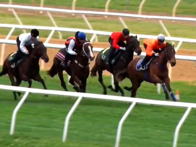 Esraar (orange colours) wins an October 23, 2023 jumpout ahead of Blue Allure (blue cap) and Bittercreek, which won last week's Group 2 Spirit of Boom Classic at Doomben.