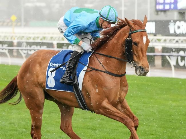 Alsephina on the way to the barriers prior to the running of  the Furphy Let's Elope Stakes at Flemington Racecourse on September 14, 2024 in Flemington, Australia. (Photo by George Sal/Racing Photos via Getty Images)