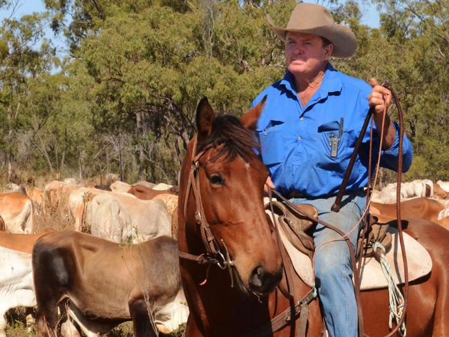 Professional drover Bill Little says the political fight over access to Queensland's stock routes is making it harder and harder for stockmen to move cattle around the state. Picture: Trudy Brown