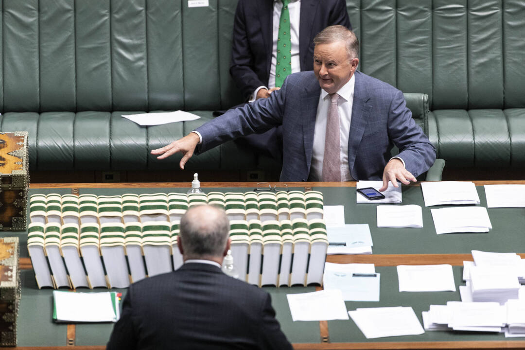 albanese-accused-of-white-anting-govt-sky-news-australia