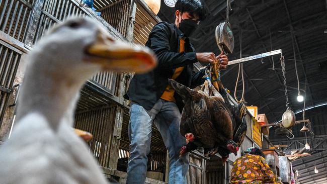 A worker weighs chickens at a market in Phnom Penh, Cambodia. The father of an 11-year-old Cambodian girl who died earlier in the week from bird flu tested positive for the virus, health officials said. Picture: TANG CHHIN Sothy/AFP.