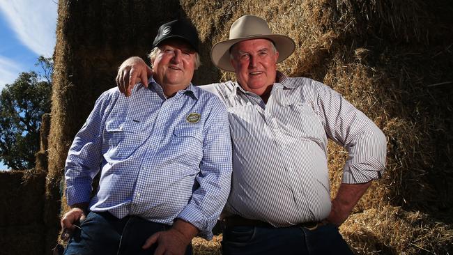 Brothers among first out of Wagyu blocks | The Weekly Times