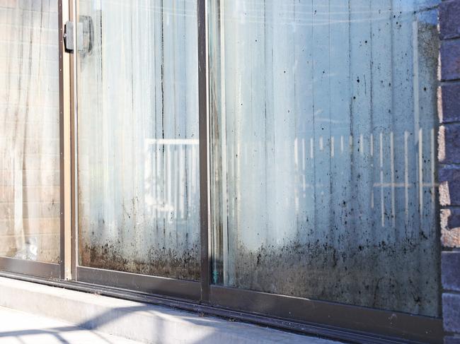 Mould on the windows in a South Hobart unit. Picture: ZAK SIMMONDS