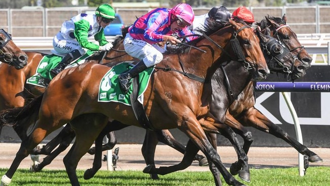 Nicolini Vito can put some value into the first leg of the quaddie for Flemington punters on Saturday. Picture: Brett Holburt / Racing Photos