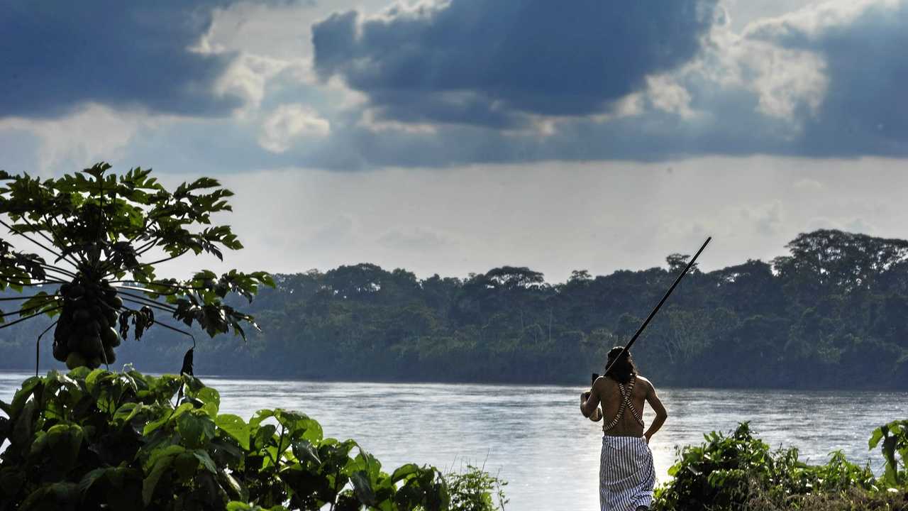 The Amazon. Picture: CONTRIBUTED