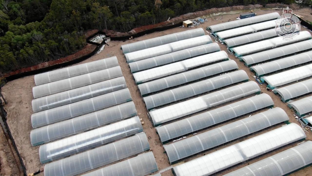 Greenhouses filled with cannabis plants found in the Isis drug bust.