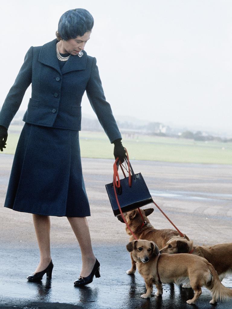 The Queen with her dogs in Balmoral. Picture: Anwar Hussein/Getty Images