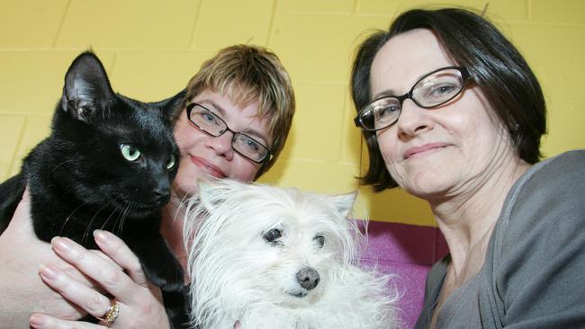 Cat owners have been given a further 12 months to register their cats. (L-R) Cat owner Sue Gilbert with Felix (cat) and dog owner Joy Verrinder and Minnie (dog). (Both animals are from the Gold Coast  Animal Welfare League)