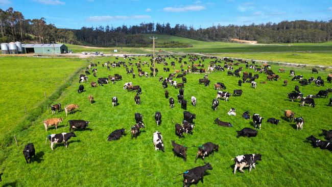 Prime Dairy has purchased 700ha of farmland, inside the Woolnorth aggregation in northwest Tasmanian.