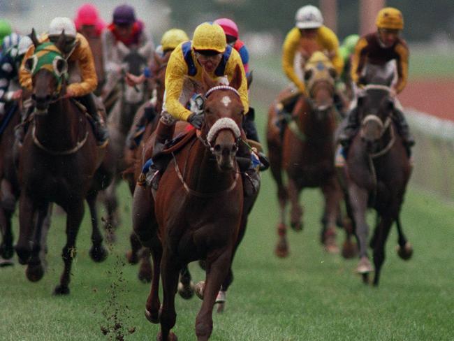 Vintage Crop leads the field to win the 1993 Melbourne Cup. Picture: Darren Tindale