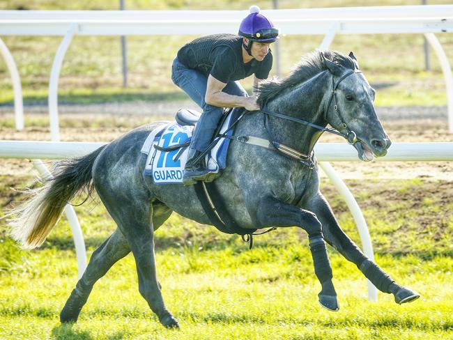 International Horse trackwork at Werribee, Jockey Ben Melham onboard Guardini. Melbourne. 2nd October 2015. Picture: Colleen Petch