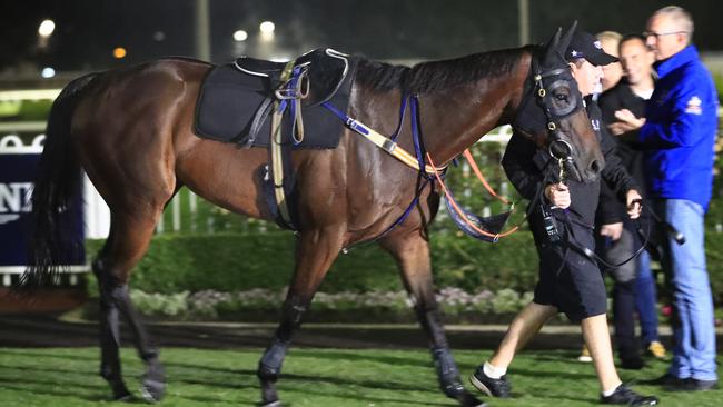 Winx retains her zest for racing. Picture: Getty Images