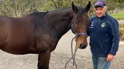 Jarrod Croker’s dad Greg with the Canberra's captain's horse Intuition. Picture: Supplied