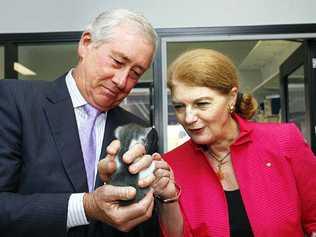  Her Excellency Governor of Queensland Penelope Wensley and her husband Stuart McCosker and a domestic kitten at the official opening of the new RSPCA Animal Care Campus at Wacol. Picture: Claudia Baxter